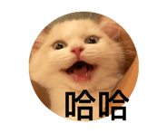 703996327