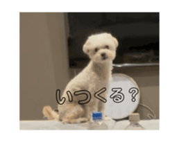 703997093