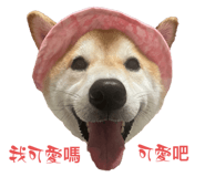 704000113