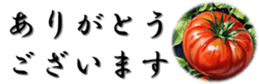 704010359