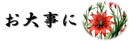 704010369