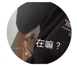704011305