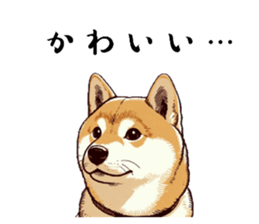 704021304