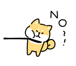 70405566