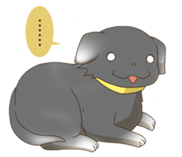 7040600