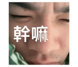 704067567