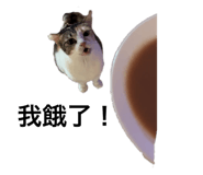 704090253