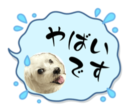 704099918