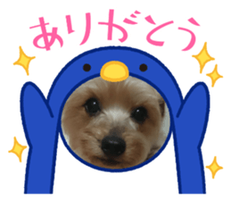 704105579