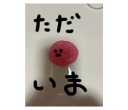 704116273