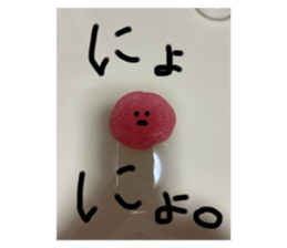 704116277