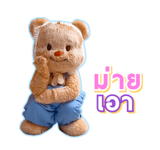 ลายที่ 43