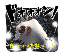 704154347