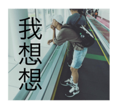 70416541