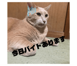 704172505