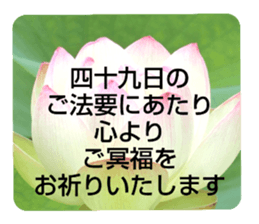 704184490