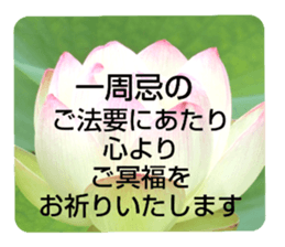 704184491