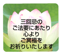 704184492