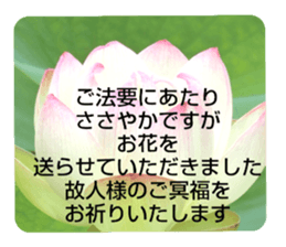 704184495