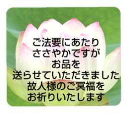 704184496