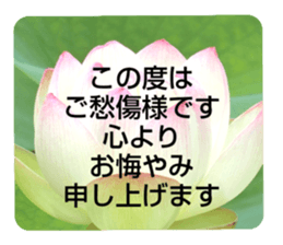704184501