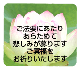 704184502