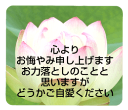 704184506