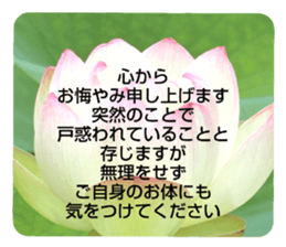 704184515