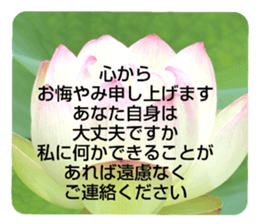 704184516