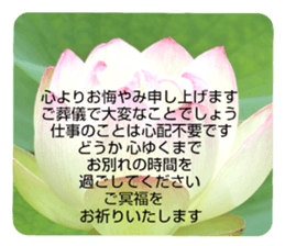 704184519