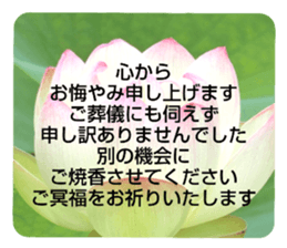 704184525