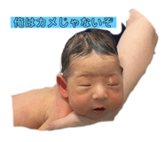 704202562