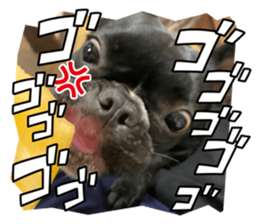 704209645