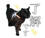704218190