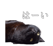 704218200