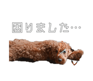 704218204