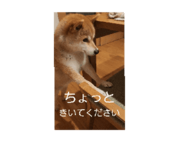 704261197