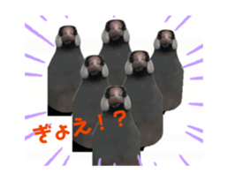 704262481