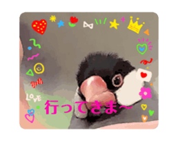 704262486