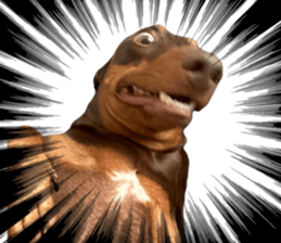 704275859