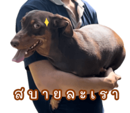 704275861