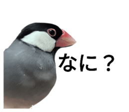 704278604