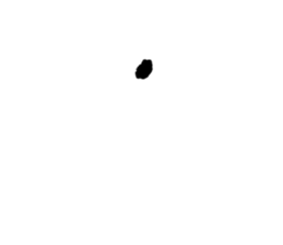 704336448