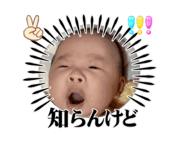 704338137