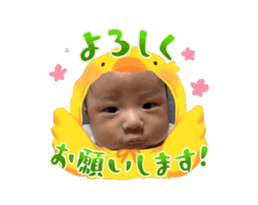 704338144