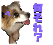 704339971