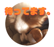 704339981