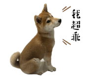 704388765