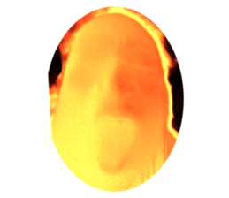 704389419