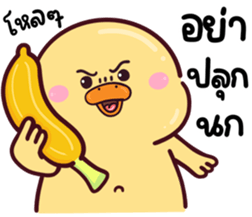 704399482